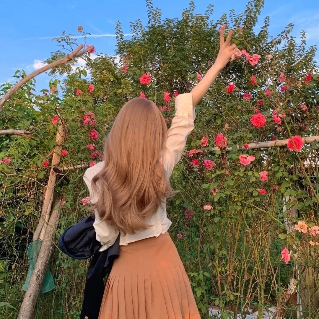 代码未曾负青山